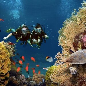 Diving Rosario Islands Cartagena | Scuba Diving Experience