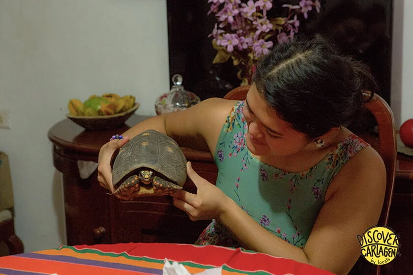 CARTAGENA LOCAL HOME TOUR<br> <span class="dc-price"><strong>$50 USD</strong>  per person </span> - Image 6